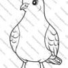 Pigeon Coloring Pages, Bird Activity, Bird Coloring Pages, Printable Coloring Pages, Nature Coloring Book, Bird Enthusiasts, Art Therapy Coloring, coloring pages, pigeon art, bird lovers, printable coloring sheets, mindfulness activity, birdwatching, art therapy, pigeon printables, nature coloring, stress relief coloring