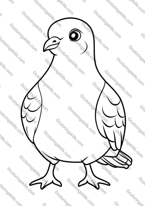 Pigeon Coloring Pages, Bird Activity, Bird Coloring Pages, Printable Coloring Pages, Nature Coloring Book, Bird Enthusiasts, Art Therapy Coloring, coloring pages, pigeon art, bird lovers, printable coloring sheets, mindfulness activity, birdwatching, art therapy, pigeon printables, nature coloring, stress relief coloring