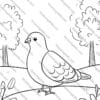 Pigeon Coloring Pages, Bird Activity, Bird Coloring Pages, Printable Coloring Pages, Nature Coloring Book, Bird Enthusiasts, Art Therapy Coloring, coloring pages, pigeon art, bird lovers, printable coloring sheets, mindfulness activity, birdwatching, art therapy, pigeon printables, nature coloring, stress relief coloring