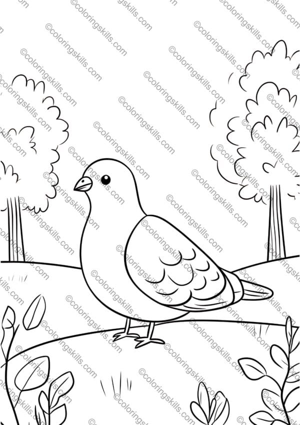 Pigeon Coloring Pages, Bird Activity, Bird Coloring Pages, Printable Coloring Pages, Nature Coloring Book, Bird Enthusiasts, Art Therapy Coloring, coloring pages, pigeon art, bird lovers, printable coloring sheets, mindfulness activity, birdwatching, art therapy, pigeon printables, nature coloring, stress relief coloring