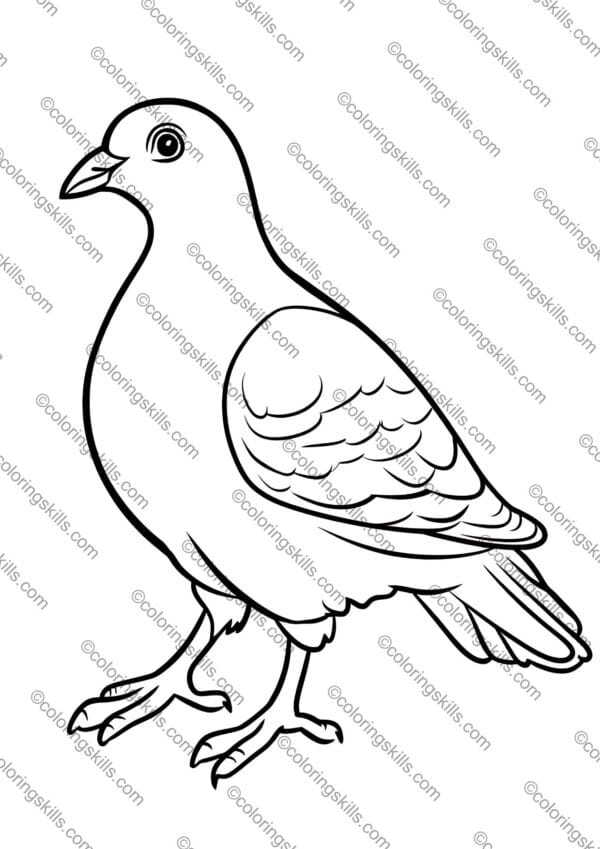 Pigeon Coloring Pages, Bird Activity, Bird Coloring Pages, Printable Coloring Pages, Nature Coloring Book, Bird Enthusiasts, Art Therapy Coloring, coloring pages, pigeon art, bird lovers, printable coloring sheets, mindfulness activity, birdwatching, art therapy, pigeon printables, nature coloring, stress relief coloring