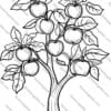 Free Apples Coloring Pages, Autumn Coloring Pages, Fall Harvest Coloring, Apple Theme Printables, Free Printables for Kids, Fall Coloring Sheets, Autumn Crafts, Apple Orchard Coloring Pages, free coloring pages, apples theme, fall harvest, autumn crafts, printable coloring, educational coloring pages, apple coloring sheets, fall-themed activities