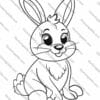 Animal coloring pages, plant coloring pages, educational coloring books, kids coloring fun, printable coloring pages, nature coloring for kids, coloring for children