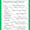 Past Simple Tense worksheet, grammar worksheet, past simple grammar exercises, editable past tense worksheet, printable grammar PDF, ESL grammar worksheet, verb tense practice, English grammar exercises, irregular verbs practice, classroom activities for past tense, past simple PPT editable