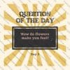 spring questions, question of the day, classroom activities, spring-themed, educational resources, critical thinking, morning meetings, journal prompts, icebreakers, class discussions, teacher resources, student engagement, spring activities, spring flowers, signs of spring, spring animals, educational tools, classroom community, free resources, printable cards, digital cards, remote learning, homeschooling