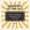 spring questions, question of the day, classroom activities, spring-themed, educational resources, critical thinking, morning meetings, journal prompts, icebreakers, class discussions, teacher resources, student engagement, spring activities, spring flowers, signs of spring, spring animals, educational tools, classroom community, free resources, printable cards, digital cards, remote learning, homeschooling