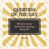 spring questions, question of the day, classroom activities, spring-themed, educational resources, critical thinking, morning meetings, journal prompts, icebreakers, class discussions, teacher resources, student engagement, spring activities, spring flowers, signs of spring, spring animals, educational tools, classroom community, free resources, printable cards, digital cards, remote learning, homeschooling