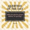 spring questions, question of the day, classroom activities, spring-themed, educational resources, critical thinking, morning meetings, journal prompts, icebreakers, class discussions, teacher resources, student engagement, spring activities, spring flowers, signs of spring, spring animals, educational tools, classroom community, free resources, printable cards, digital cards, remote learning, homeschooling