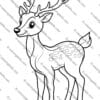 Animals Coloring Sheets, Fun Coloring Pages for Kids, Animal-Themed Art Resource, Educational Coloring Sheets for Grades K-5th, Printable Animal Coloring Pages, Kids Art Activities, Animal Coloring Book PDF, Creative Coloring for Children, A4 Animal Coloring Sheets, Free Animal Coloring Pages