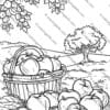 Apples Coloring Pages: Back-to-School & Fall Activities for Kids (PreK-3rd) Are you looking for a fun, educational, and creative way to keep your kids engaged during the back-to-school season or throughout the fall? Do you want to combine learning with play while fostering your child’s creativity and fine motor skills? Look no further! Our Apples Coloring Pages are the perfect solution for parents, teachers, and caregivers seeking high-quality, printable activities for kids in PreK through 3rd grade. This 60-page PDF collection is designed to provide hours of entertainment and learning. Each page is A4-sized, making it easy to print at home or school. Whether you’re preparing for the first day of school, celebrating the autumn season, or simply looking for a relaxing activity, these Apples Coloring Pages are a must-have resource. Why Choose Apples Coloring Pages for Back-to-School & Fall Activities? The back-to-school season and fall are exciting times for kids, but they can also be overwhelming. New routines, classrooms, and teachers can leave children feeling stressed or restless. That’s where our Apples Coloring Pages come in! These pages are more than just coloring sheets—they’re a gateway to creativity, relaxation, and learning. Here’s why this product stands out: Educational Value: The coloring pages feature apple-themed designs that teach kids about nature, seasons, and even basic math concepts like counting and patterns. Skill Development: Coloring helps improve fine motor skills, hand-eye coordination, and focus, which are essential for young learners. Seasonal Fun: The fall-themed designs, including apples, apple trees, and autumn leaves, make these pages perfect for seasonal activities. Versatility: Use them at home, in the classroom, or even during after-school programs. What’s Included in the Apples Coloring Pages Collection? This 60-page PDF is packed with a variety of designs and activities to keep kids entertained and engaged. Here’s a sneak peek at what you’ll find: 1. Simple Apple Outlines for Beginners (PreK-K) Perfect for younger kids who are just starting to explore coloring. Large, easy-to-color shapes help build confidence. Examples: single apples, apple trees, and baskets of apples. 2. Detailed Apple-Themed Designs for Older Kids (1st-3rd Grade) Intricate patterns and scenes challenge older kids to refine their coloring skills. Examples: apple orchards, fall harvest scenes, and apple pie illustrations. 3. Educational Activities Counting apples, matching games, and tracing exercises. Fun facts about apples and their role in nature and history. 4. Creative Prompts Pages that encourage kids to add their own drawings or stories. Examples: “Draw your favorite apple dessert” or “Create a fall scene around this apple tree.” How Apples Coloring Pages Enhance Learning and Creativity Coloring isn’t just a fun activity—it’s a powerful learning tool. Here’s how our Apples Coloring Pages can benefit your child: 1. Boosts Fine Motor Skills Holding crayons, staying within the lines, and blending colors all help develop the small muscles in a child’s hands. These skills are crucial for writing, typing, and other everyday tasks. 2. Encourages Focus and Patience Coloring requires concentration and attention to detail, which can help kids improve their focus and patience over time. 3. Sparks Creativity With a variety of designs and prompts, these coloring pages encourage kids to think outside the box and express themselves artistically. 4. Teaches About Nature and Seasons The apple-themed designs provide an opportunity to teach kids about the life cycle of apples, the importance of trees, and the beauty of the fall season. Perfect for Back-to-School and Fall Celebrations The Apples Coloring Pages are ideal for both back-to-school and fall-themed activities. Here are some ways to use them: 1. Back-to-School Icebreakers Use the coloring pages as a fun icebreaker activity on the first day of school. Kids can color while getting to know their classmates. 2. Fall Classroom Decorations Let kids color the pages and display their artwork around the classroom or at home. Create a festive fall bulletin board with their finished masterpieces. 3. Relaxing After-School Activity After a long day of learning, coloring can be a calming way for kids to unwind. 4. Seasonal Party Favors Print out the pages and include them in goody bags for fall parties or harvest festivals. Why Parents and Teachers Love Apples Coloring Pages Here’s what makes this product a favorite among parents and teachers: High-Quality Designs: Every page is carefully crafted to ensure clarity and appeal. Easy to Use: The PDF format allows for instant download and printing. Affordable: Get 60 pages of fun and learning at an unbeatable price. Versatile: Suitable for a wide range of ages and skill levels. Frequently Asked Questions 1. What age group is this product for? The Apples Coloring Pages are designed for kids in PreK through 3rd grade. However, older kids and even adults may enjoy the more detailed designs. 2. Can I print multiple copies? Yes! Once you download the PDF, you can print as many copies as you need for personal or classroom use. 3. Are these coloring pages only for fall? While the designs are perfect for fall, they can be used year-round. Apples are a timeless theme that kids love! Get Your Apples Coloring Pages Today! Ready to bring the joy of coloring into your home or classroom? Don’t miss out on this amazing resource! With 60 pages of apple-themed fun, your kids will stay entertained and engaged for hours. Order now and enjoy exclusive offers! For more creative products, visit our shop: https://coloringskills.com/shop/ Looking for free resources? Check out our free products here: https://coloringskills.com/product-category/free-resource/ Follow us on Pinterest for more inspiration: https://uk.pinterest.com/coloringskills Final Thoughts The Apples Coloring Pages are more than just a fun activity—they’re a tool for learning, creativity, and relaxation. Whether you’re a parent, teacher, or caregiver, this product is a valuable addition to your back-to-school and fall plans. So, what are you waiting for? Download your copy today and watch your kids’ faces light up with joy as they explore the world of apples and autumn through coloring! Order now and enjoy exclusive offers!