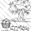 Apples Coloring Pages: Back-to-School & Fall Activities for Kids (PreK-3rd) Are you looking for a fun, educational, and creative way to keep your kids engaged during the back-to-school season or throughout the fall? Do you want to combine learning with play while fostering your child’s creativity and fine motor skills? Look no further! Our Apples Coloring Pages are the perfect solution for parents, teachers, and caregivers seeking high-quality, printable activities for kids in PreK through 3rd grade. This 60-page PDF collection is designed to provide hours of entertainment and learning. Each page is A4-sized, making it easy to print at home or school. Whether you’re preparing for the first day of school, celebrating the autumn season, or simply looking for a relaxing activity, these Apples Coloring Pages are a must-have resource. Why Choose Apples Coloring Pages for Back-to-School & Fall Activities? The back-to-school season and fall are exciting times for kids, but they can also be overwhelming. New routines, classrooms, and teachers can leave children feeling stressed or restless. That’s where our Apples Coloring Pages come in! These pages are more than just coloring sheets—they’re a gateway to creativity, relaxation, and learning. Here’s why this product stands out: Educational Value: The coloring pages feature apple-themed designs that teach kids about nature, seasons, and even basic math concepts like counting and patterns. Skill Development: Coloring helps improve fine motor skills, hand-eye coordination, and focus, which are essential for young learners. Seasonal Fun: The fall-themed designs, including apples, apple trees, and autumn leaves, make these pages perfect for seasonal activities. Versatility: Use them at home, in the classroom, or even during after-school programs. What’s Included in the Apples Coloring Pages Collection? This 60-page PDF is packed with a variety of designs and activities to keep kids entertained and engaged. Here’s a sneak peek at what you’ll find: 1. Simple Apple Outlines for Beginners (PreK-K) Perfect for younger kids who are just starting to explore coloring. Large, easy-to-color shapes help build confidence. Examples: single apples, apple trees, and baskets of apples. 2. Detailed Apple-Themed Designs for Older Kids (1st-3rd Grade) Intricate patterns and scenes challenge older kids to refine their coloring skills. Examples: apple orchards, fall harvest scenes, and apple pie illustrations. 3. Educational Activities Counting apples, matching games, and tracing exercises. Fun facts about apples and their role in nature and history. 4. Creative Prompts Pages that encourage kids to add their own drawings or stories. Examples: “Draw your favorite apple dessert” or “Create a fall scene around this apple tree.” How Apples Coloring Pages Enhance Learning and Creativity Coloring isn’t just a fun activity—it’s a powerful learning tool. Here’s how our Apples Coloring Pages can benefit your child: 1. Boosts Fine Motor Skills Holding crayons, staying within the lines, and blending colors all help develop the small muscles in a child’s hands. These skills are crucial for writing, typing, and other everyday tasks. 2. Encourages Focus and Patience Coloring requires concentration and attention to detail, which can help kids improve their focus and patience over time. 3. Sparks Creativity With a variety of designs and prompts, these coloring pages encourage kids to think outside the box and express themselves artistically. 4. Teaches About Nature and Seasons The apple-themed designs provide an opportunity to teach kids about the life cycle of apples, the importance of trees, and the beauty of the fall season. Perfect for Back-to-School and Fall Celebrations The Apples Coloring Pages are ideal for both back-to-school and fall-themed activities. Here are some ways to use them: 1. Back-to-School Icebreakers Use the coloring pages as a fun icebreaker activity on the first day of school. Kids can color while getting to know their classmates. 2. Fall Classroom Decorations Let kids color the pages and display their artwork around the classroom or at home. Create a festive fall bulletin board with their finished masterpieces. 3. Relaxing After-School Activity After a long day of learning, coloring can be a calming way for kids to unwind. 4. Seasonal Party Favors Print out the pages and include them in goody bags for fall parties or harvest festivals. Why Parents and Teachers Love Apples Coloring Pages Here’s what makes this product a favorite among parents and teachers: High-Quality Designs: Every page is carefully crafted to ensure clarity and appeal. Easy to Use: The PDF format allows for instant download and printing. Affordable: Get 60 pages of fun and learning at an unbeatable price. Versatile: Suitable for a wide range of ages and skill levels. Frequently Asked Questions 1. What age group is this product for? The Apples Coloring Pages are designed for kids in PreK through 3rd grade. However, older kids and even adults may enjoy the more detailed designs. 2. Can I print multiple copies? Yes! Once you download the PDF, you can print as many copies as you need for personal or classroom use. 3. Are these coloring pages only for fall? While the designs are perfect for fall, they can be used year-round. Apples are a timeless theme that kids love! Get Your Apples Coloring Pages Today! Ready to bring the joy of coloring into your home or classroom? Don’t miss out on this amazing resource! With 60 pages of apple-themed fun, your kids will stay entertained and engaged for hours. Order now and enjoy exclusive offers! For more creative products, visit our shop: https://coloringskills.com/shop/ Looking for free resources? Check out our free products here: https://coloringskills.com/product-category/free-resource/ Follow us on Pinterest for more inspiration: https://uk.pinterest.com/coloringskills Final Thoughts The Apples Coloring Pages are more than just a fun activity—they’re a tool for learning, creativity, and relaxation. Whether you’re a parent, teacher, or caregiver, this product is a valuable addition to your back-to-school and fall plans. So, what are you waiting for? Download your copy today and watch your kids’ faces light up with joy as they explore the world of apples and autumn through coloring! Order now and enjoy exclusive offers!