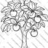 apple coloring pages, apple coloring pages for kids, fun fruit activity sheets, printable apple coloring pages, apple-themed coloring sheets, fruit coloring pages for kids, apple coloring book, fall apple coloring pages, apple orchard coloring pages, educational apple coloring pages, apple life cycle coloring pages, creative fruit art for kids, printable art for kids, apple coloring activities, kids fruit coloring sheets