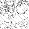 apple coloring pages for kids, fun fruit activity sheets, printable apple coloring pages, apple-themed coloring pages, fall apple coloring activities, educational apple coloring sheets, kids fruit coloring pages, apple coloring book PDF, A4 apple coloring pages, free printable apple coloring pages