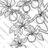 apples coloring pages, 150+ apples coloring pages printables, autumn apples coloring sheets, apple-themed autumn coloring pages, fall coloring activities, printable apple templates, coloring pages for kids, autumn crafts for children, educational coloring sheets, A4 PDF coloring pages