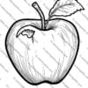 apples coloring pages, 150+ apples coloring pages printables, autumn apples coloring sheets, apple-themed autumn coloring pages, fall coloring activities, printable apple templates, coloring pages for kids, autumn crafts for children, educational coloring sheets, A4 PDF coloring pages