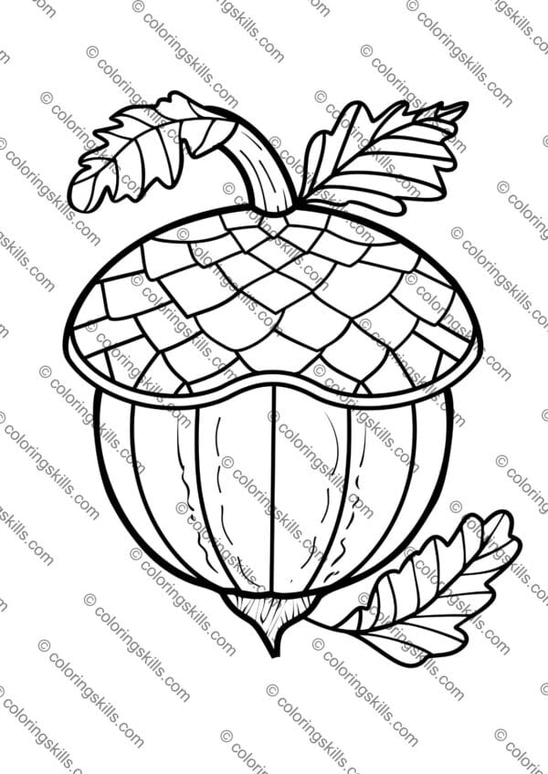 Acorn Coloring Pages Fall Themed Coloring Sheets for PreK-2nd Grade Autumn Art