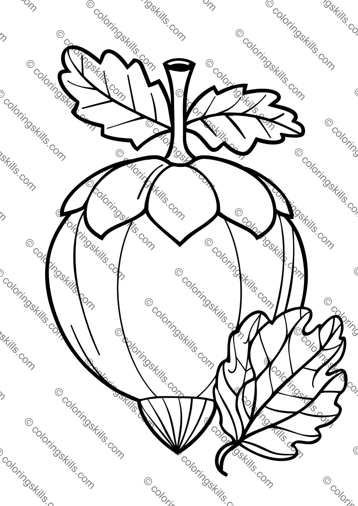 Acorn Coloring Pages, Fall Themed Coloring Sheets, Autumn Art for Kids, PreK-2nd Grade Coloring Activities, Fall Coloring Pages for Kids, Acorn Art for Preschoolers, Autumn Coloring Sheets for Children, Seasonal Coloring Pages for Kids, Educational Fall Activities, Printable Acorn Coloring Pages, Fun Fall Art Projects, Kids Autumn Coloring Fun, PreK Fall Coloring Sheets, 2nd Grade Autumn Art, Creative Fall Coloring for Kids