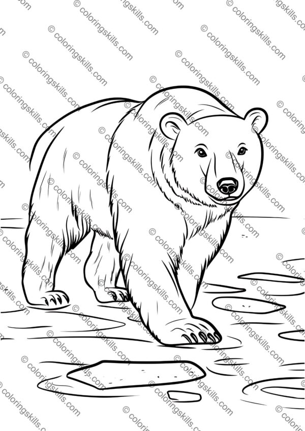 Arctic animals coloring pages, printable polar wildlife activity sheets, Arctic animals coloring book, polar animal coloring printables, winter animal coloring pages, Arctic animals worksheets for kids, educational Arctic printables, Arctic wildlife coloring sheets, fun Arctic animals activity, printable Arctic animals PDF