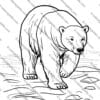 Arctic Animals Coloring Pages, Winter Coloring Sheets, Polar Animal Activities, Arctic Wildlife Coloring Book, Printable Polar Animals, Winter-Themed Coloring Pages, Arctic Animal Learning Activities, Fun Arctic Printables, Polar Bear Coloring Sheets, Penguin Coloring Pages, Educational Winter Activities, Homeschool Arctic Unit, Preschool Arctic Coloring, Kindergarten Winter Printables, Arctic Habitat Worksheets