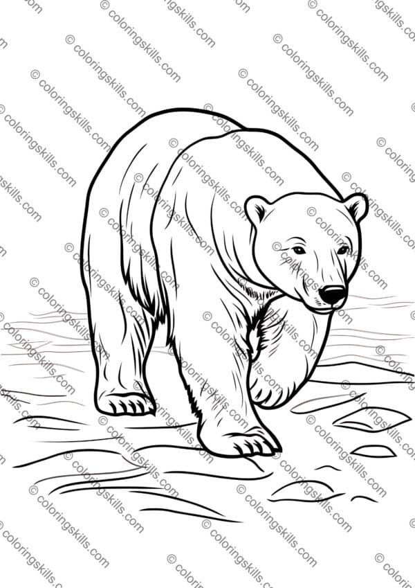 Arctic Animals Coloring Pages, Winter Coloring Sheets, Polar Animal Activities, Arctic Wildlife Coloring Book, Printable Polar Animals, Winter-Themed Coloring Pages, Arctic Animal Learning Activities, Fun Arctic Printables, Polar Bear Coloring Sheets, Penguin Coloring Pages, Educational Winter Activities, Homeschool Arctic Unit, Preschool Arctic Coloring, Kindergarten Winter Printables, Arctic Habitat Worksheets