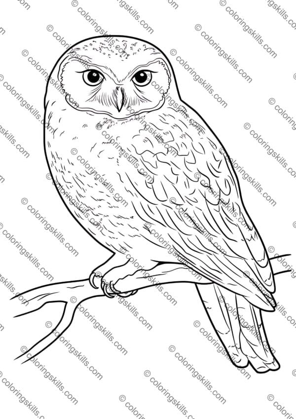 Arctic Animals Coloring Pages, Winter Coloring Sheets, Polar Animal Activities, Arctic Wildlife Coloring Book, Printable Polar Animals, Winter-Themed Coloring Pages, Arctic Animal Learning Activities, Fun Arctic Printables, Polar Bear Coloring Sheets, Penguin Coloring Pages, Educational Winter Activities, Homeschool Arctic Unit, Preschool Arctic Coloring, Kindergarten Winter Printables, Arctic Habitat Worksheets