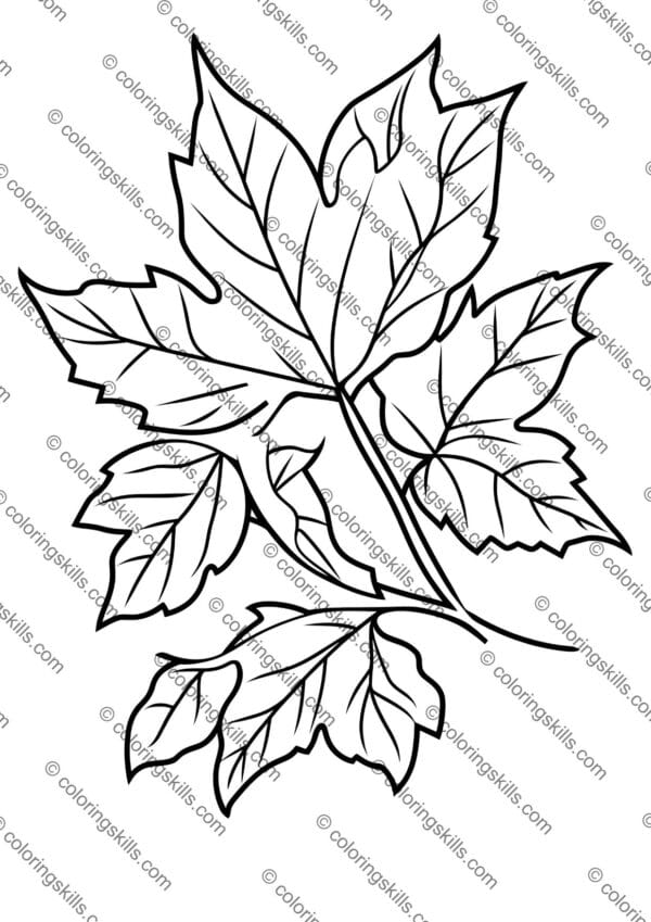 August Coloring Sheets, Summer Coloring Pages, Fun Back to School Activity, Printable Coloring Pages for Kids, Back to School Coloring Sheets, Summer Activity for Kids, Educational Coloring Pages, PDF Coloring Pages, A4 Printable Coloring Pages, 80-Page Coloring Book, Creative Back to School Ideas, Fun Summer Printables, First Day of School Activity, Homeschool Coloring Pages, Classroom Coloring Sheets