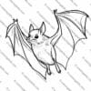 Bats Coloring Pages, Fun Animal Printables, Kids Science Activity, Nocturnal Animals Coloring Sheets, Bat Printables for Kids, Wildlife Coloring Pages, Educational Bat Worksheets, Printable Bat Activity, Nature Study Coloring Pages, STEM Animal Printables, Flying Bats Coloring Pages, Bat Life Cycle Coloring Sheets, Creative Learning Printables, Science and Art Activity, Bat Anatomy Coloring Pages