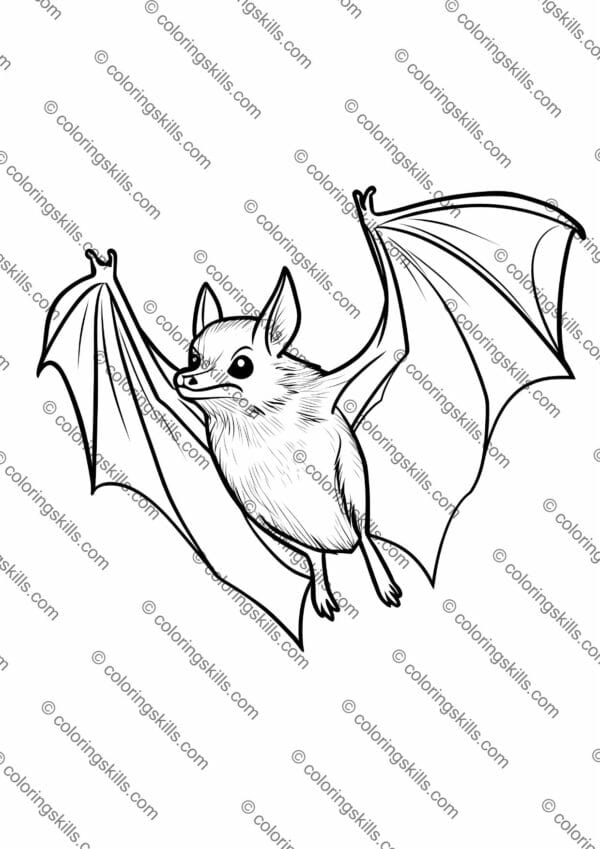 Bats Coloring Pages, Fun Animal Printables, Kids Science Activity, Nocturnal Animals Coloring Sheets, Bat Printables for Kids, Wildlife Coloring Pages, Educational Bat Worksheets, Printable Bat Activity, Nature Study Coloring Pages, STEM Animal Printables, Flying Bats Coloring Pages, Bat Life Cycle Coloring Sheets, Creative Learning Printables, Science and Art Activity, Bat Anatomy Coloring Pages