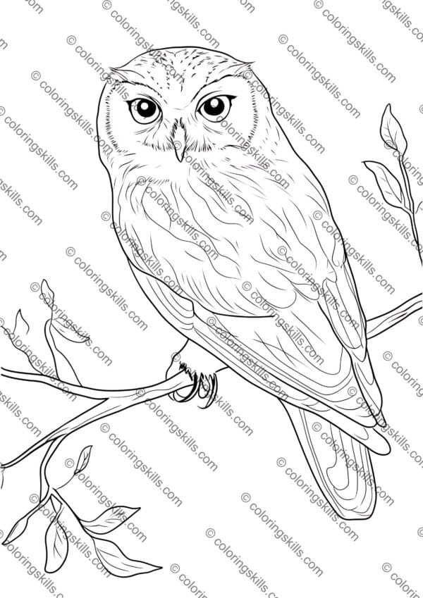 Arctic Animals Coloring Pages, Arctic Wildlife Coloring Sheets, Polar Animal Coloring Book, Educational Arctic Coloring Activity, Printable Arctic Animal Art, Arctic Creatures Coloring PDF, Kids Arctic Coloring Pages, Homeschool Arctic Animals Activity, Winter Wildlife Coloring Pages, Arctic Animals Learning Resource