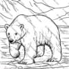 Arctic Animals Coloring Pages, Arctic Wildlife Coloring Sheets, Polar Animal Coloring Book, Educational Arctic Coloring Activity, Printable Arctic Animal Art, Arctic Creatures Coloring PDF, Kids Arctic Coloring Pages, Homeschool Arctic Animals Activity, Winter Wildlife Coloring Pages, Arctic Animals Learning Resource