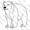 Arctic Animals Coloring Pages, Arctic Wildlife Coloring Sheets, Polar Animal Coloring Book, Educational Arctic Coloring Activity, Printable Arctic Animal Art, Arctic Creatures Coloring PDF, Kids Arctic Coloring Pages, Homeschool Arctic Animals Activity, Winter Wildlife Coloring Pages, Arctic Animals Learning Resource